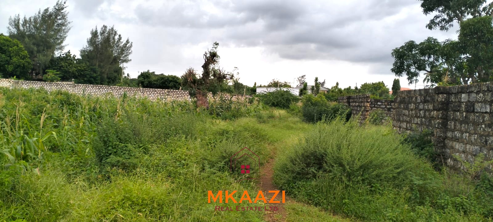 40x80 plot for sale on Cycad Road in Casuarina, Malindi, ideal for residential development, holiday homes, Airbnb units, or long-term investment.