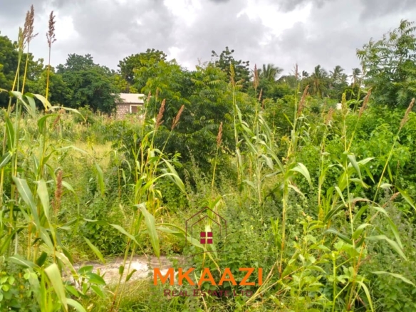 40x80 plot for sale on Cycad Road in Casuarina, Malindi, ideal for residential development, holiday homes, Airbnb units, or long-term investment.