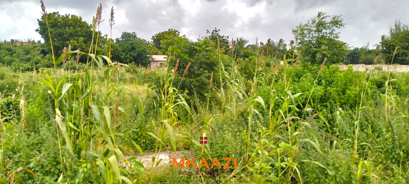 40x80 plot for sale on Cycad Road in Casuarina, Malindi, ideal for residential development, holiday homes, Airbnb units, or long-term investment.