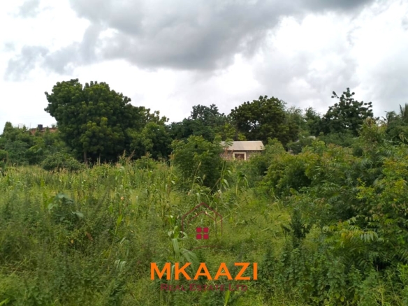 40x80 plot for sale on Cycad Road in Casuarina, Malindi, ideal for residential development, holiday homes, Airbnb units, or long-term investment.