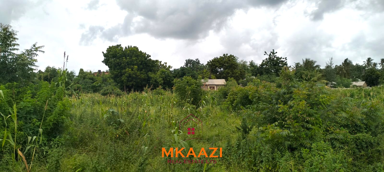 40x80 plot for sale on Cycad Road in Casuarina, Malindi, ideal for residential development, holiday homes, Airbnb units, or long-term investment.