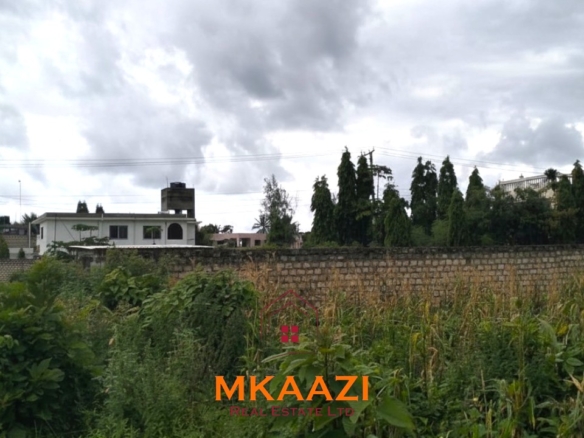 40x80 plot for sale on Cycad Road in Casuarina, Malindi, ideal for residential development, holiday homes, Airbnb units, or long-term investment.