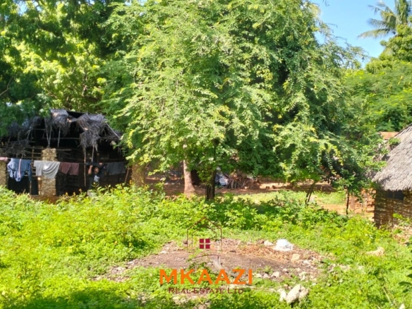Half-acre freehold plot for sale near Mida Creek, Watamu, off Turtle Bay Road, featuring water and electricity on-site and ideal for residential or hospitality development.