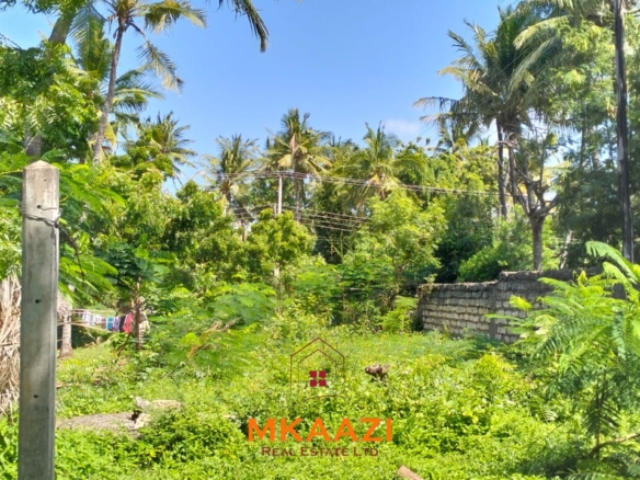 Half-acre freehold plot for sale near Mida Creek, Watamu, off Turtle Bay Road, featuring water and electricity on-site and ideal for residential or hospitality development.