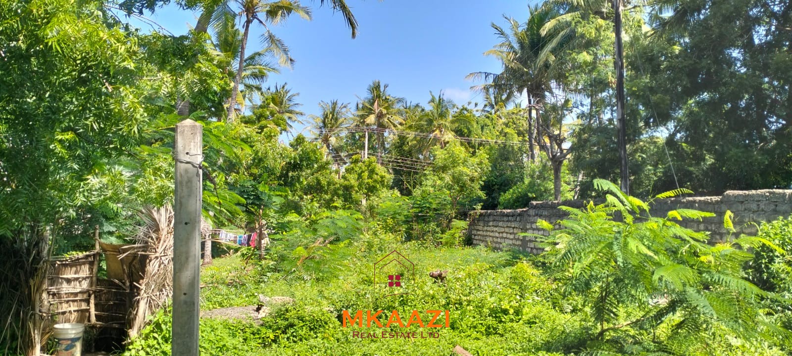 Half-acre freehold plot for sale near Mida Creek, Watamu, off Turtle Bay Road, featuring water and electricity on-site and ideal for residential or hospitality development.
