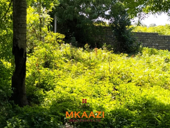 Half-acre freehold plot for sale near Mida Creek, Watamu, off Turtle Bay Road, featuring water and electricity on-site and ideal for residential or hospitality development.