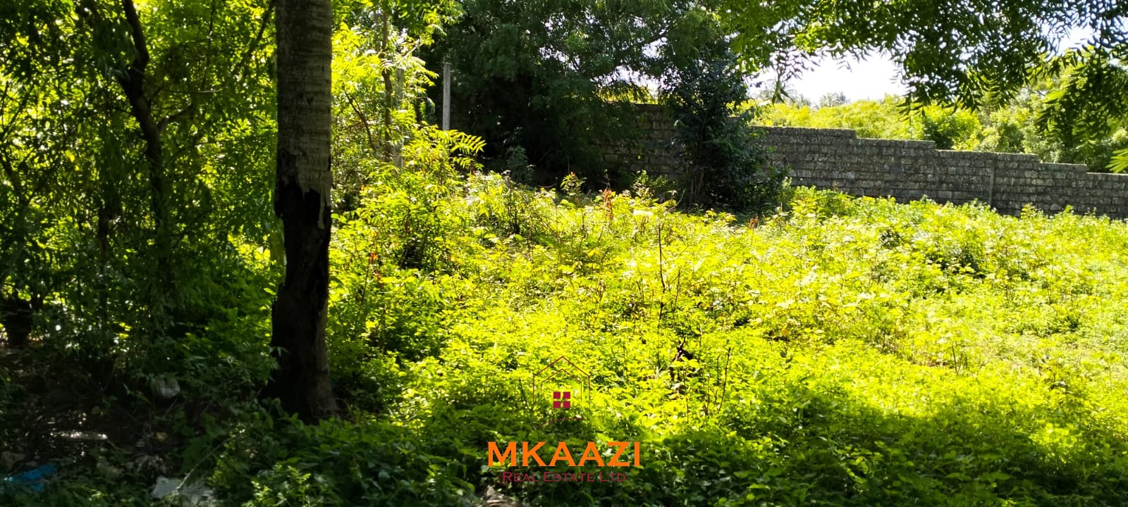 Half-acre freehold plot for sale near Mida Creek, Watamu, off Turtle Bay Road, featuring water and electricity on-site and ideal for residential or hospitality development.