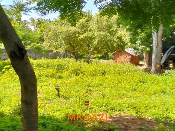 Half-acre freehold plot for sale near Mida Creek, Watamu, off Turtle Bay Road, featuring water and electricity on-site and ideal for residential or hospitality development.