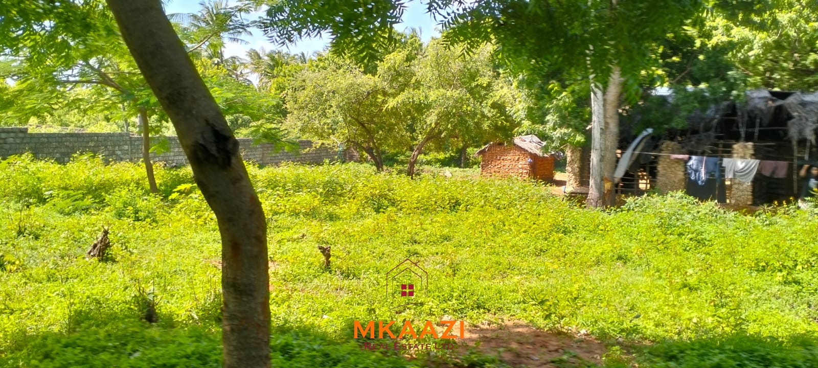 Half-acre freehold plot for sale near Mida Creek, Watamu, off Turtle Bay Road, featuring water and electricity on-site and ideal for residential or hospitality development.