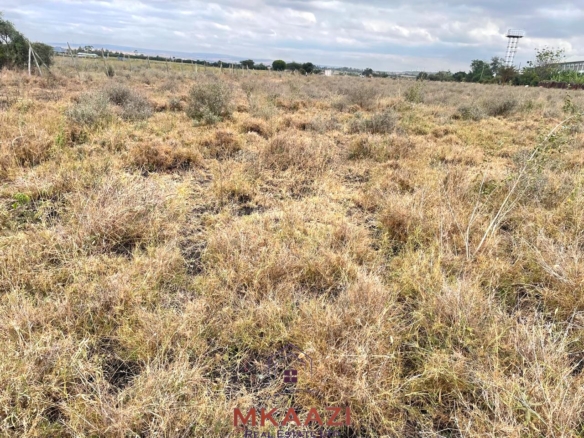 Prime 1/5-acre residential plot for sale in Kisaju, Kajiado, located 500 meters from tarmac near Sathya Sai School with a ready freehold title deed.