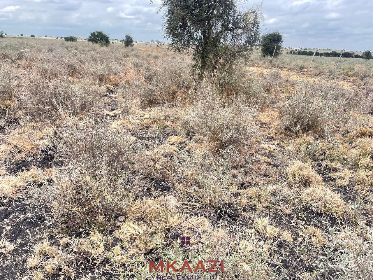 Prime 1/5-acre residential plot for sale in Kisaju, Kajiado, located 500 meters from tarmac near Sathya Sai School with a ready freehold title deed.