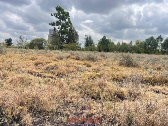 Prime 1/5-acre residential plot for sale in Kisaju, Kajiado, located 500 meters from tarmac near Sathya Sai School with a ready freehold title deed.