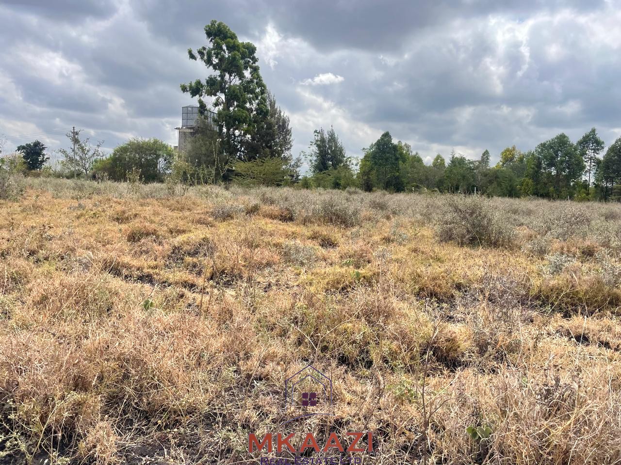 Prime 1/5-acre residential plot for sale in Kisaju, Kajiado, located 500 meters from tarmac near Sathya Sai School with a ready freehold title deed.
