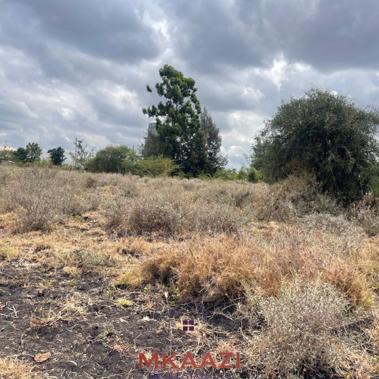 Prime 1/5-acre residential plot for sale in Kisaju, Kajiado, located 500 meters from tarmac near Sathya Sai School with a ready freehold title deed.