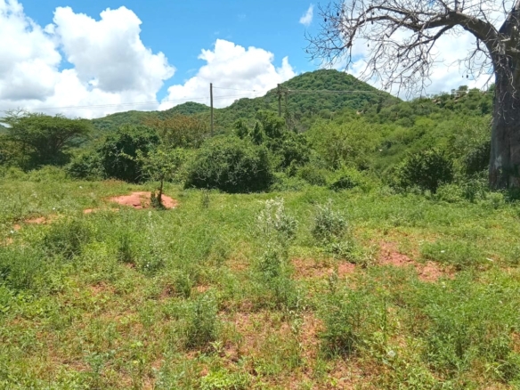 550 acres of freehold agricultural land on the Kibwezi–Kitui border with Athi River frontage, fertile red soils, and ideal conditions for avocado, macadamia, citrus, and horticultural farming.