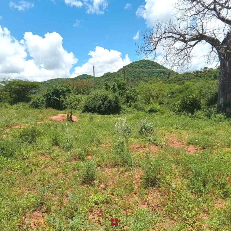 550 acres of freehold agricultural land on the Kibwezi–Kitui border with Athi River frontage, fertile red soils, and ideal conditions for avocado, macadamia, citrus, and horticultural farming.