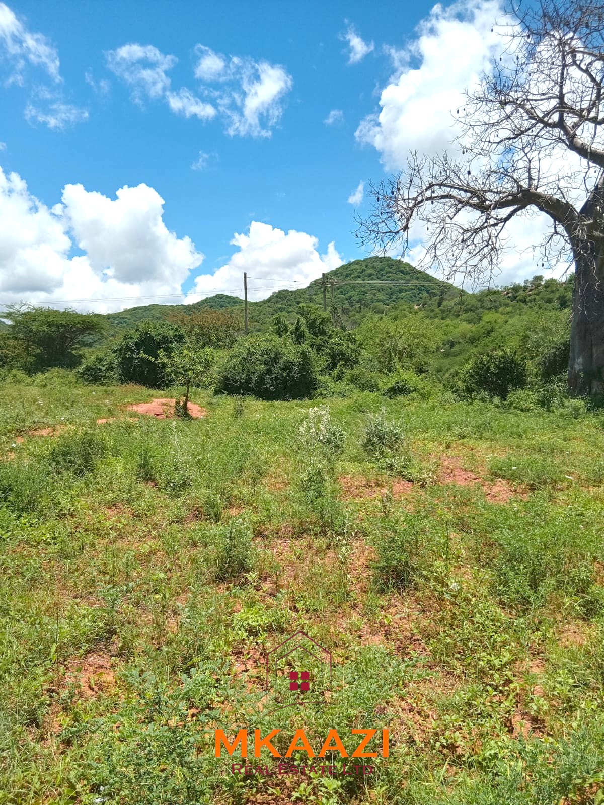 550 acres of freehold agricultural land on the Kibwezi–Kitui border with Athi River frontage, fertile red soils, and ideal conditions for avocado, macadamia, citrus, and horticultural farming.