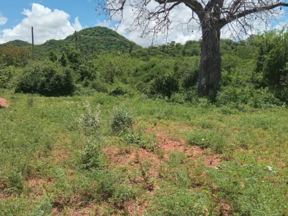 550 acres of freehold agricultural land on the Kibwezi–Kitui border with Athi River frontage, fertile red soils, and ideal conditions for avocado, macadamia, citrus, and horticultural farming.