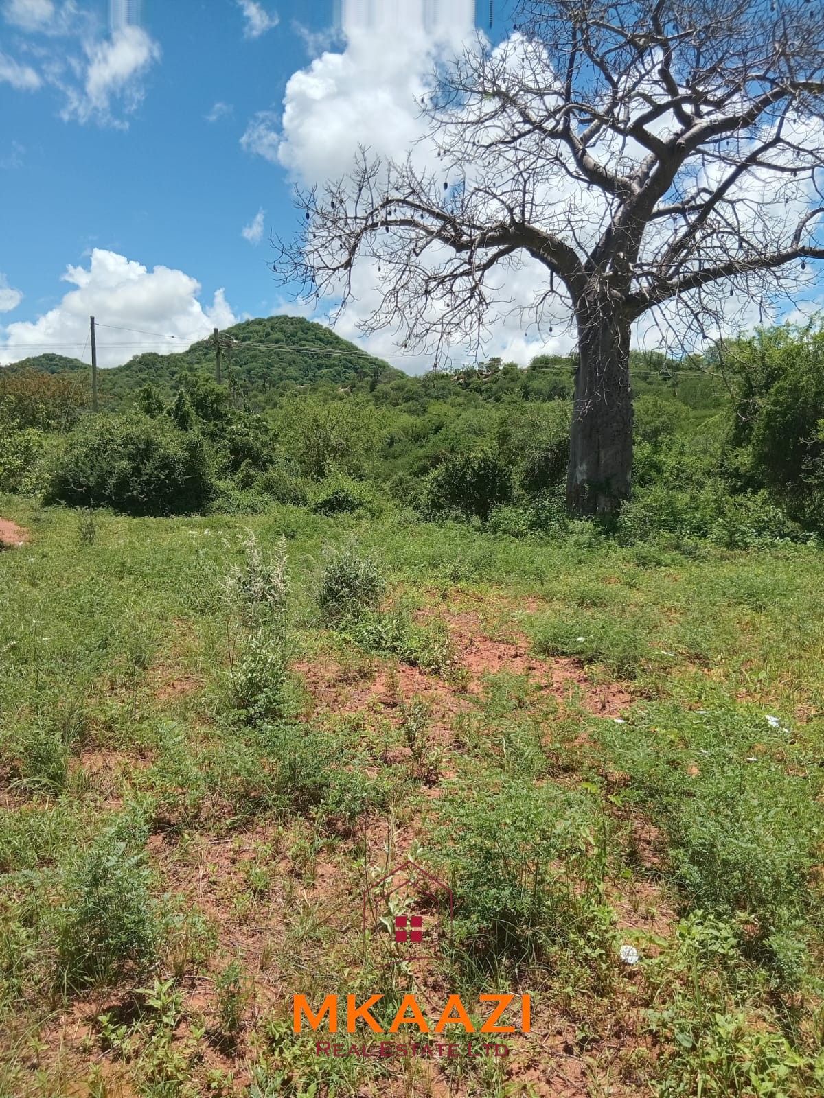 550 acres of freehold agricultural land on the Kibwezi–Kitui border with Athi River frontage, fertile red soils, and ideal conditions for avocado, macadamia, citrus, and horticultural farming.