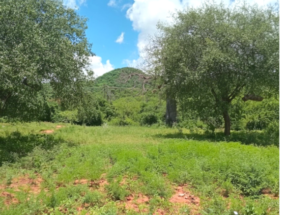 550 acres of freehold agricultural land on the Kibwezi–Kitui border with Athi River frontage, fertile red soils, and ideal conditions for avocado, macadamia, citrus, and horticultural farming.