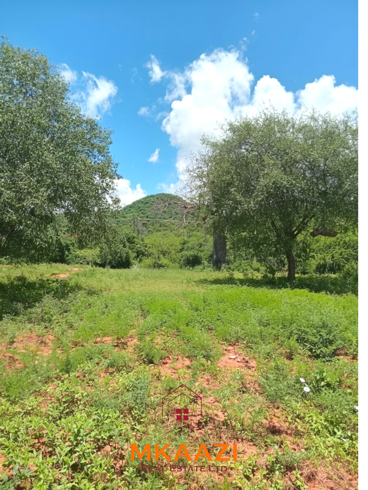 550 acres of freehold agricultural land on the Kibwezi–Kitui border with Athi River frontage, fertile red soils, and ideal conditions for avocado, macadamia, citrus, and horticultural farming.