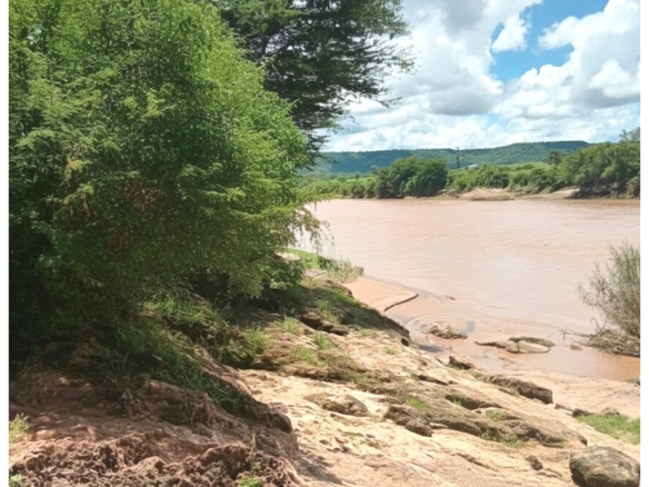 550 acres of freehold agricultural land on the Kibwezi–Kitui border with Athi River frontage, fertile red soils, and ideal conditions for avocado, macadamia, citrus, and horticultural farming.