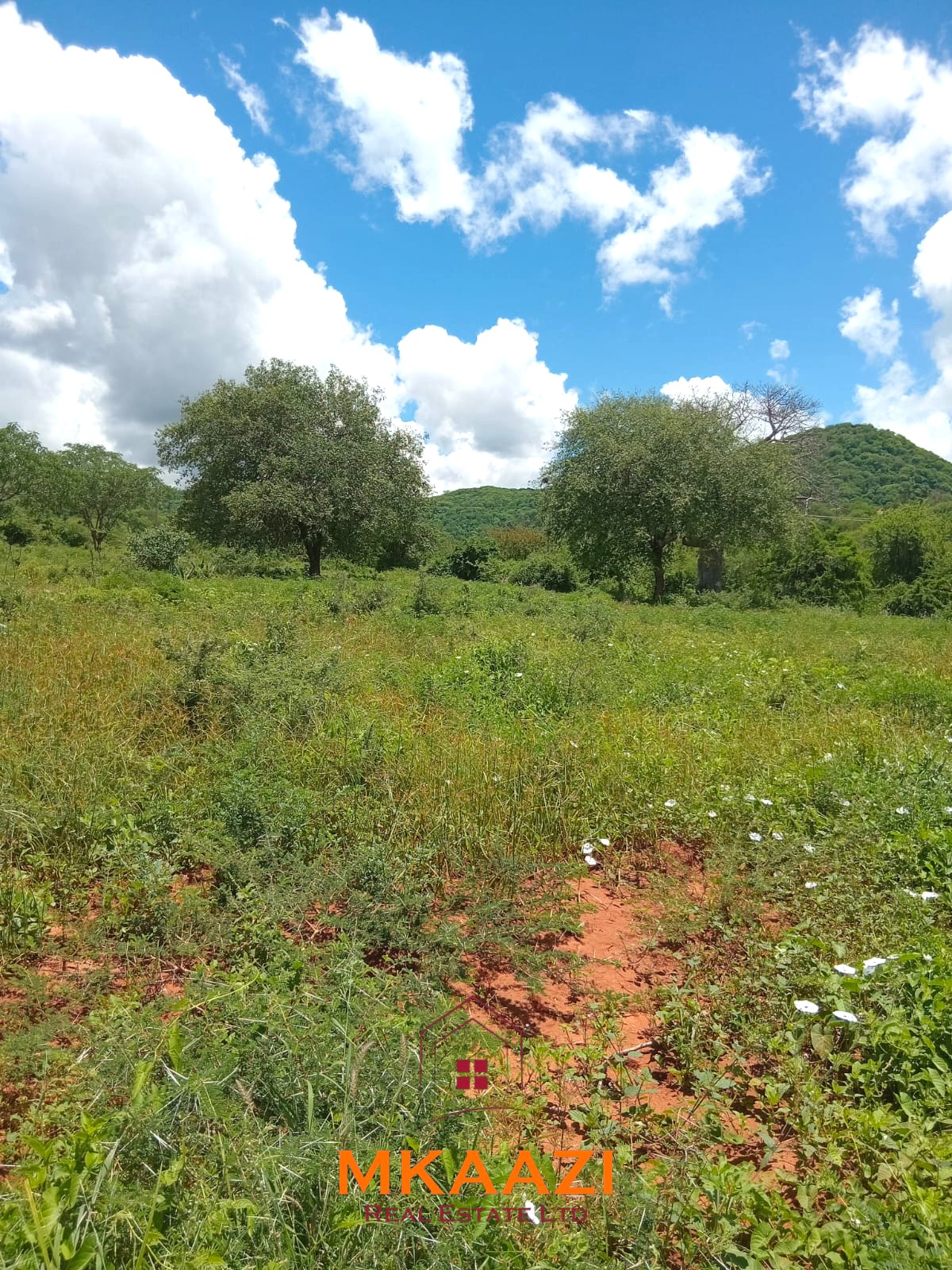 550 acres of freehold agricultural land on the Kibwezi–Kitui border with Athi River frontage, fertile red soils, and ideal conditions for avocado, macadamia, citrus, and horticultural farming.