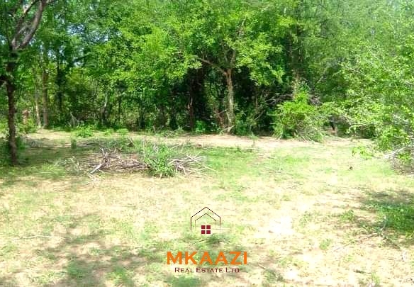 500 acres of virgin land for sale in Tharaka with direct Tana River frontage, suitable for commercial farming, irrigation projects, ranching, agro-processing, and long-term investment.