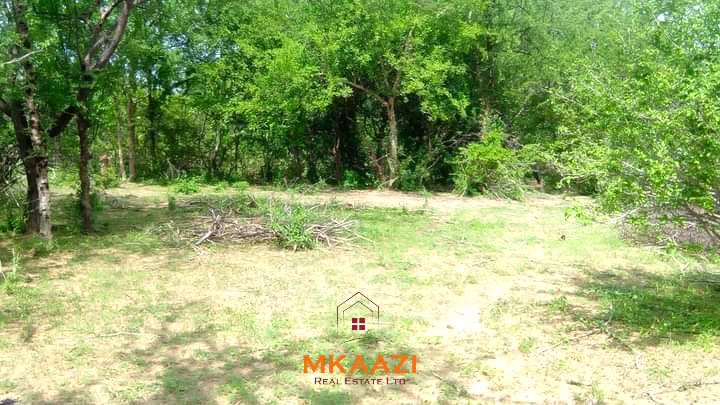 500 acres of virgin land for sale in Tharaka with direct Tana River frontage, suitable for commercial farming, irrigation projects, ranching, agro-processing, and long-term investment.