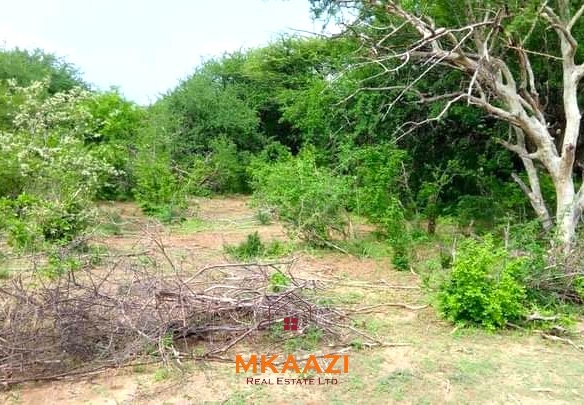 500 acres of virgin land for sale in Tharaka with direct Tana River frontage, suitable for commercial farming, irrigation projects, ranching, agro-processing, and long-term investment.
