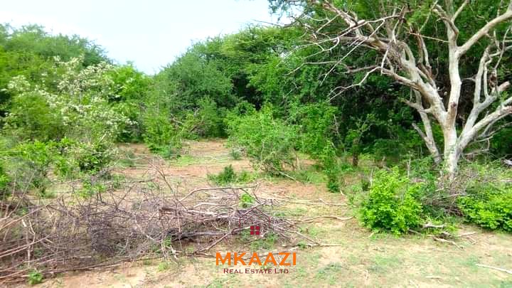 500 acres of virgin land for sale in Tharaka with direct Tana River frontage, suitable for commercial farming, irrigation projects, ranching, agro-processing, and long-term investment.