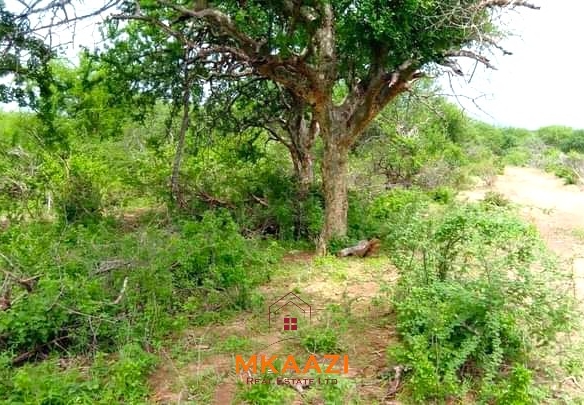 500 acres of virgin land for sale in Tharaka with direct Tana River frontage, suitable for commercial farming, irrigation projects, ranching, agro-processing, and long-term investment.