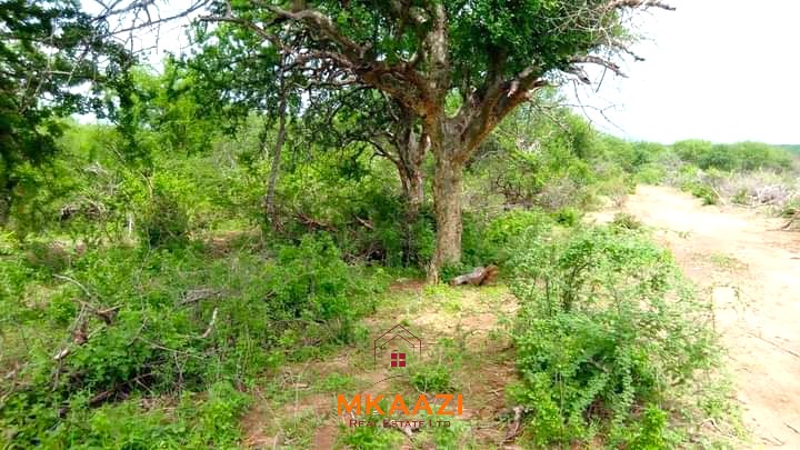 500 acres of virgin land for sale in Tharaka with direct Tana River frontage, suitable for commercial farming, irrigation projects, ranching, agro-processing, and long-term investment.