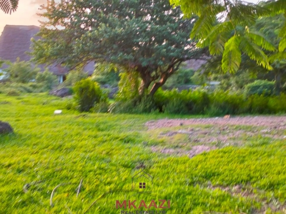 Prime 1.15-acre road frontage property for sale on Casuarina Road, Malindi, located directly on tarmac and within walking distance to the beach.