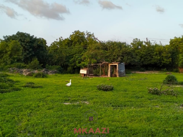 Prime 1.15-acre road frontage property for sale on Casuarina Road, Malindi, located directly on tarmac and within walking distance to the beach.