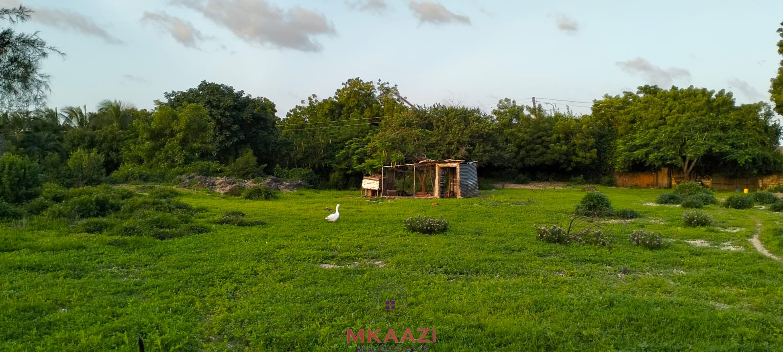 Prime 1.15-acre road frontage property for sale on Casuarina Road, Malindi, located directly on tarmac and within walking distance to the beach.