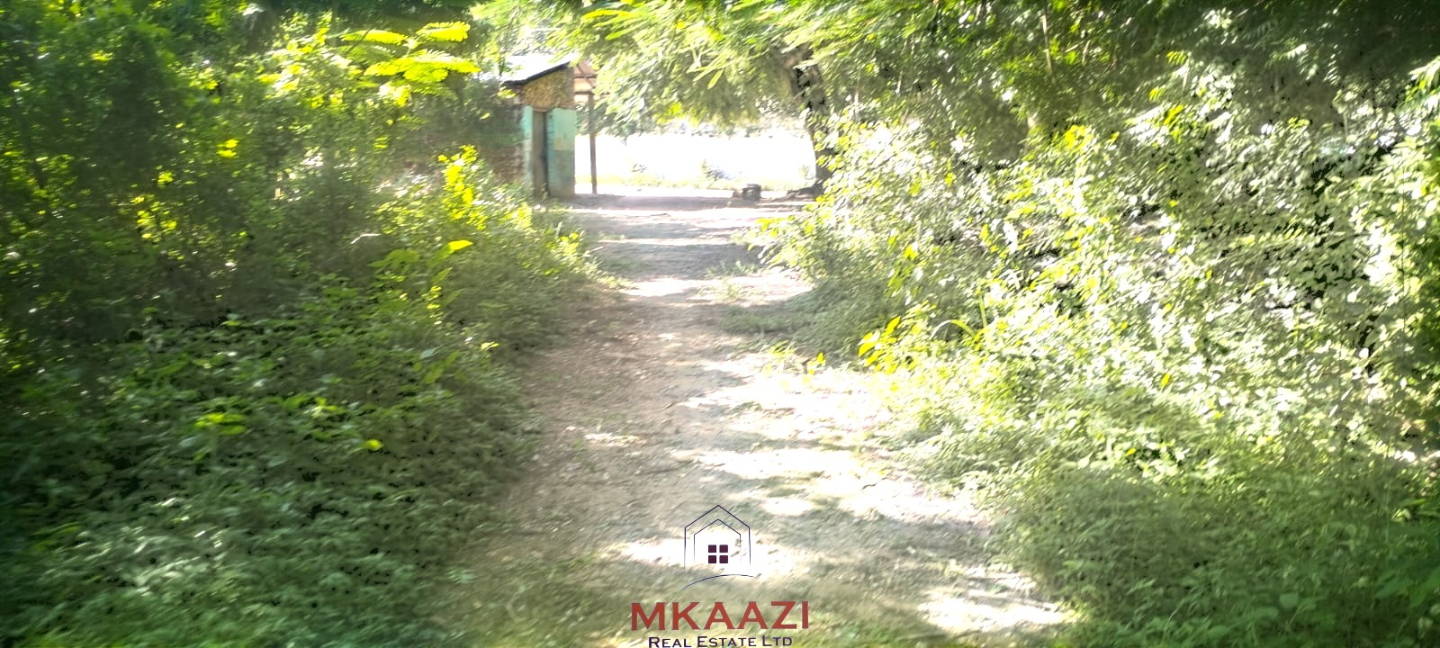 Prime ¼ acre freehold plot for sale in Garoda Watamu, 200 meters from Turtle Bay Road tarmac with excellent road frontage and development potential.