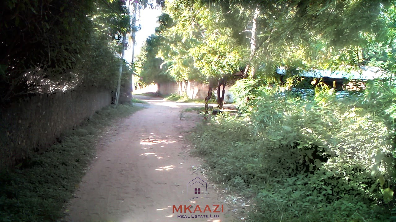 Prime ¼ acre freehold plot for sale in Garoda Watamu, 200 meters from Turtle Bay Road tarmac with excellent road frontage and development potential.