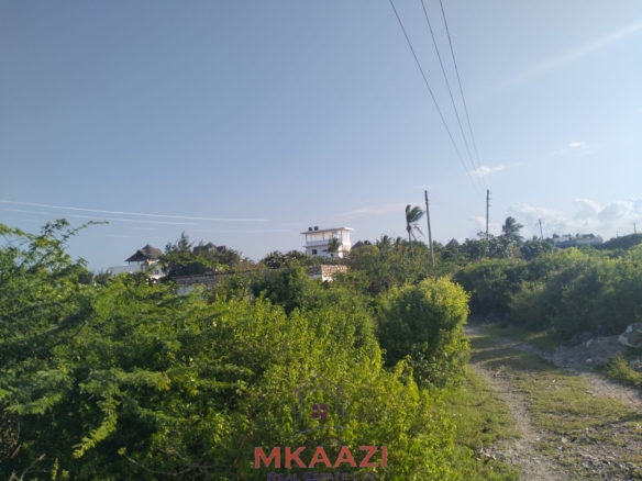 Prime 1 acre freehold land for sale near Mawe Zuri Watamu, available in ½ acre portions, located 200 meters from the tarmac road.