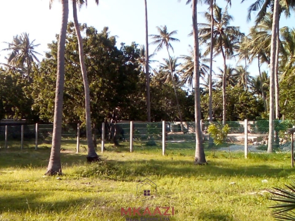 Prime ¼ acre fenced freehold plot for sale in Garoda Watamu, second row from Turtle Bay Road with electricity and water available on-site.