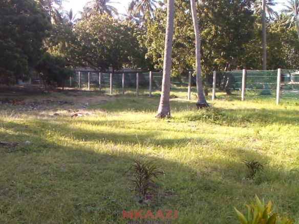 Prime ¼ acre fenced freehold plot for sale in Garoda Watamu, second row from Turtle Bay Road with electricity and water available on-site.