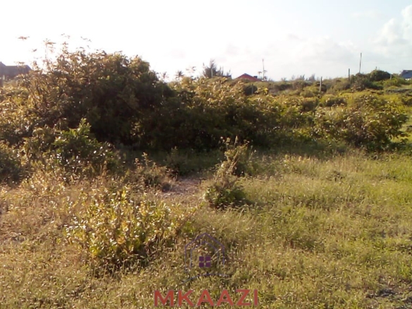 Prime 1 acre freehold land for sale near Mawe Zuri Watamu, available in ½ acre portions, located 200 meters from the tarmac road.