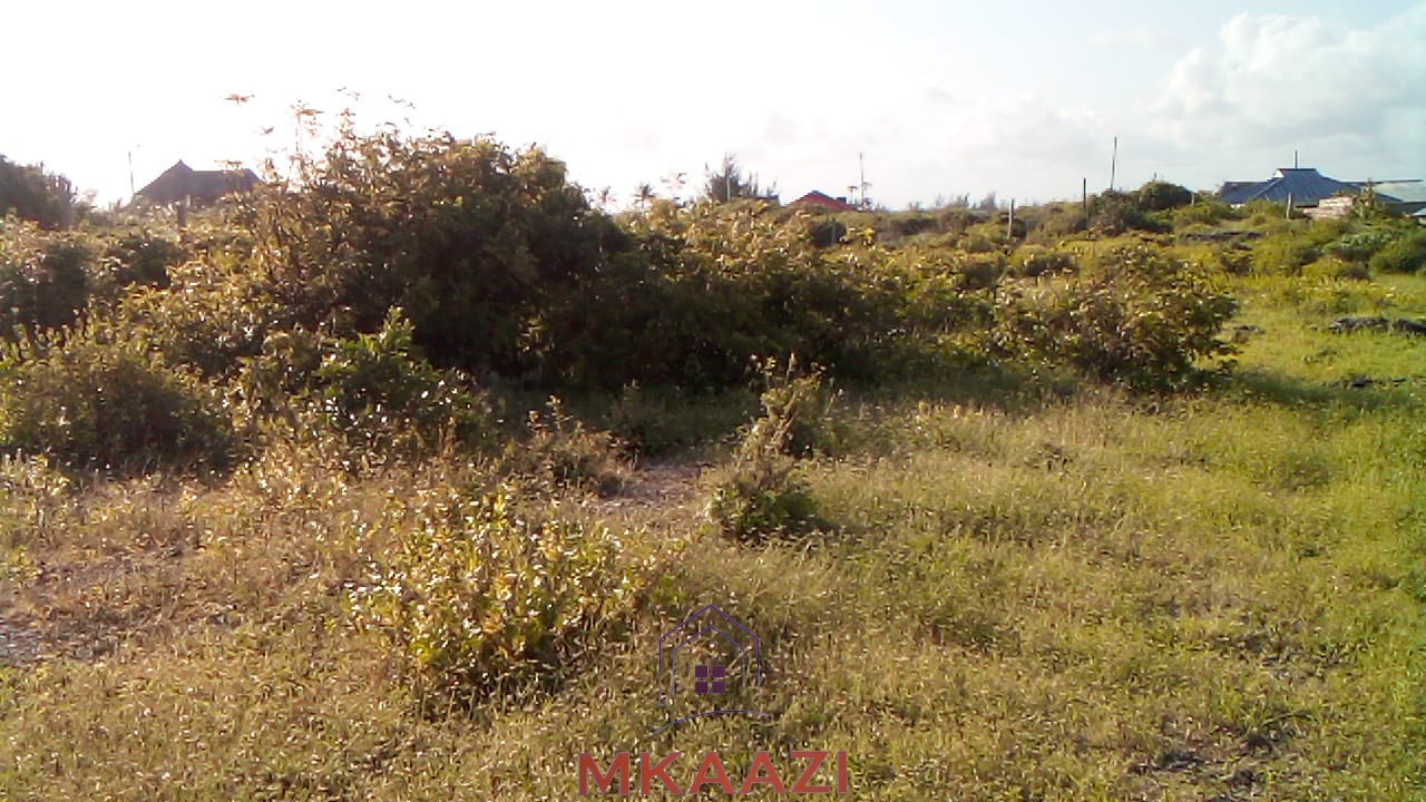 Prime 1 acre freehold land for sale near Mawe Zuri Watamu, available in ½ acre portions, located 200 meters from the tarmac road.