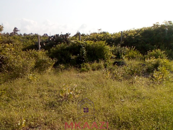 Prime 1 acre freehold land for sale near Mawe Zuri Watamu, available in ½ acre portions, located 200 meters from the tarmac road.