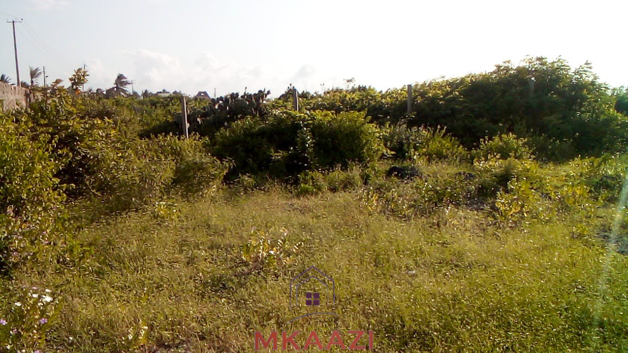 Prime 1 acre freehold land for sale near Mawe Zuri Watamu, available in ½ acre portions, located 200 meters from the tarmac road.