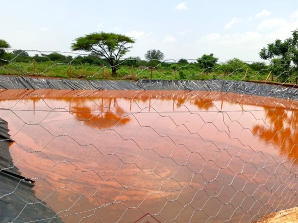 17-acre income-generating farm for sale in Mata, Taveta featuring mature Muguka cultivation, a 6-million-litre dam, borehole, irrigation system, indigenous trees, and electric fencing.