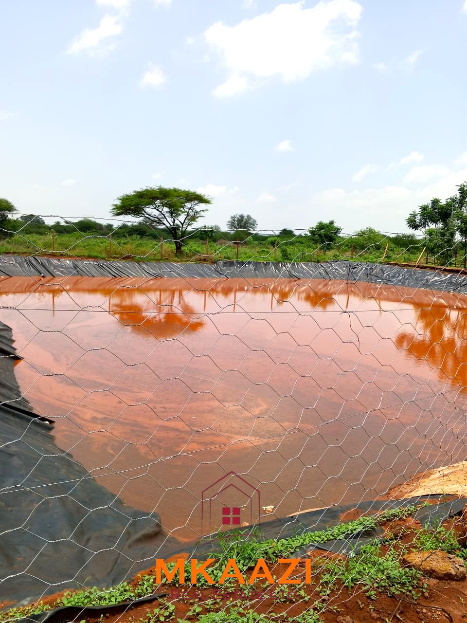 17-acre income-generating farm for sale in Mata, Taveta featuring mature Muguka cultivation, a 6-million-litre dam, borehole, irrigation system, indigenous trees, and electric fencing.