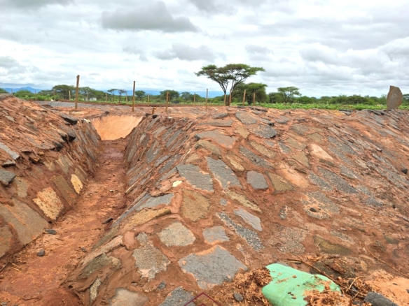 17-acre income-generating farm for sale in Mata, Taveta featuring mature Muguka cultivation, a 6-million-litre dam, borehole, irrigation system, indigenous trees, and electric fencing.