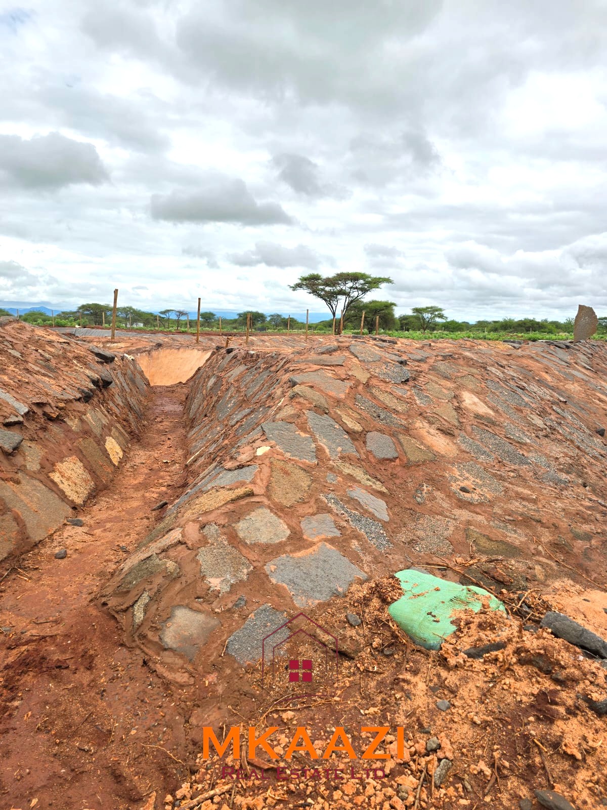 17-acre income-generating farm for sale in Mata, Taveta featuring mature Muguka cultivation, a 6-million-litre dam, borehole, irrigation system, indigenous trees, and electric fencing.