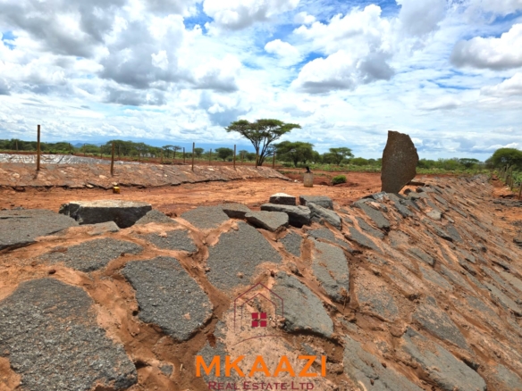 17-acre income-generating farm for sale in Mata, Taveta featuring mature Muguka cultivation, a 6-million-litre dam, borehole, irrigation system, indigenous trees, and electric fencing.